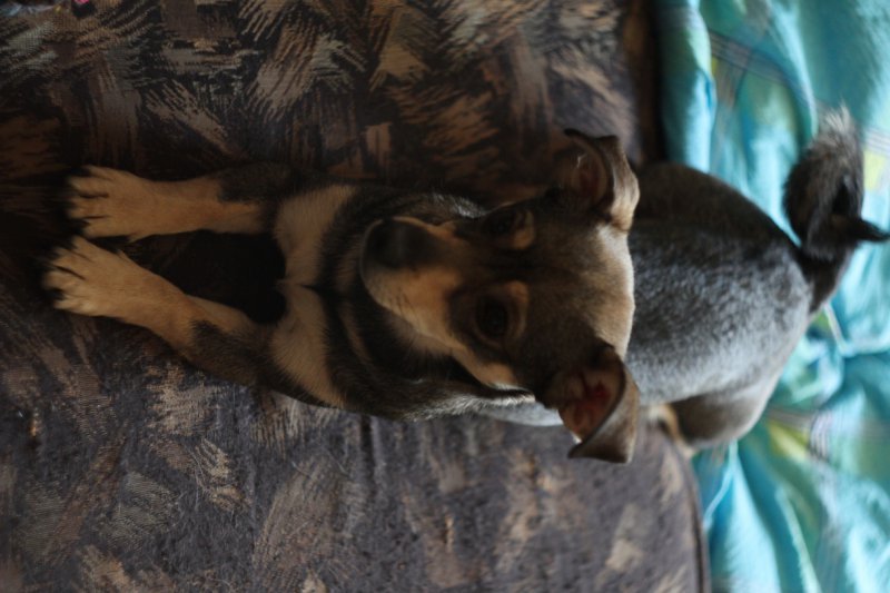 nareszcie na urlopie :)